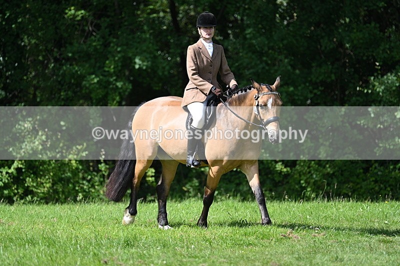 WJ7_1004 - Class 11 Condition & Turnout