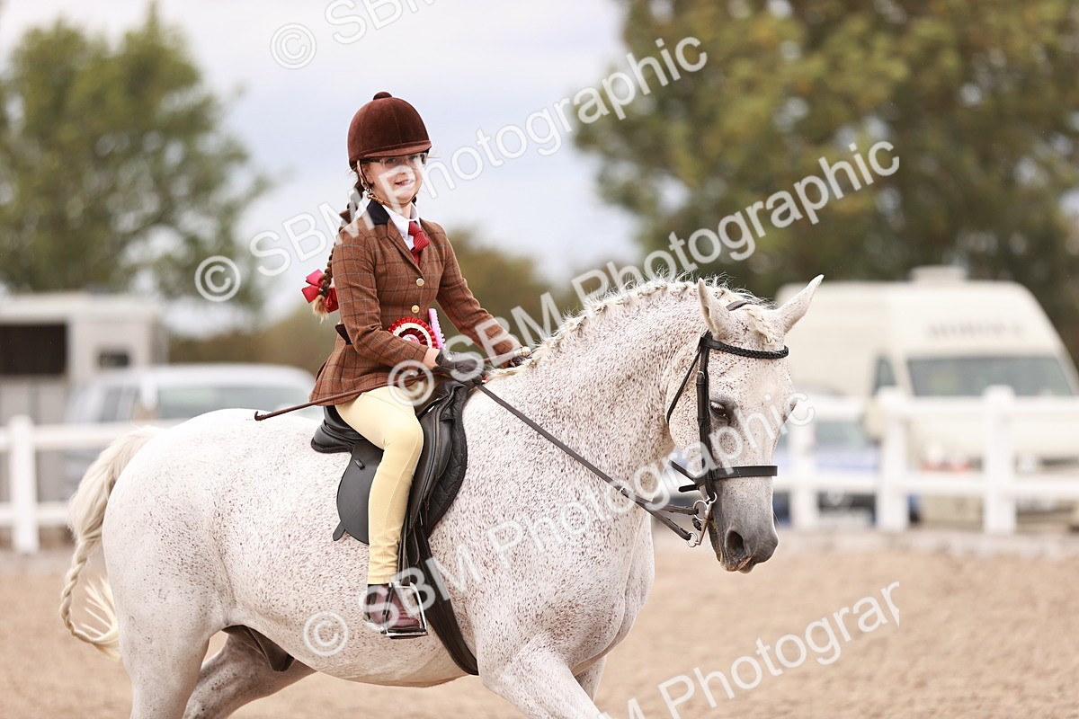 SBM_18644 - Class 421 - Childs Best Friend - Jnr