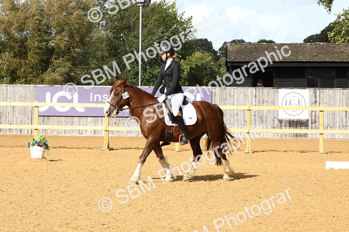 SBM_24404 - D5 - Small Tour Championshop Intro 2