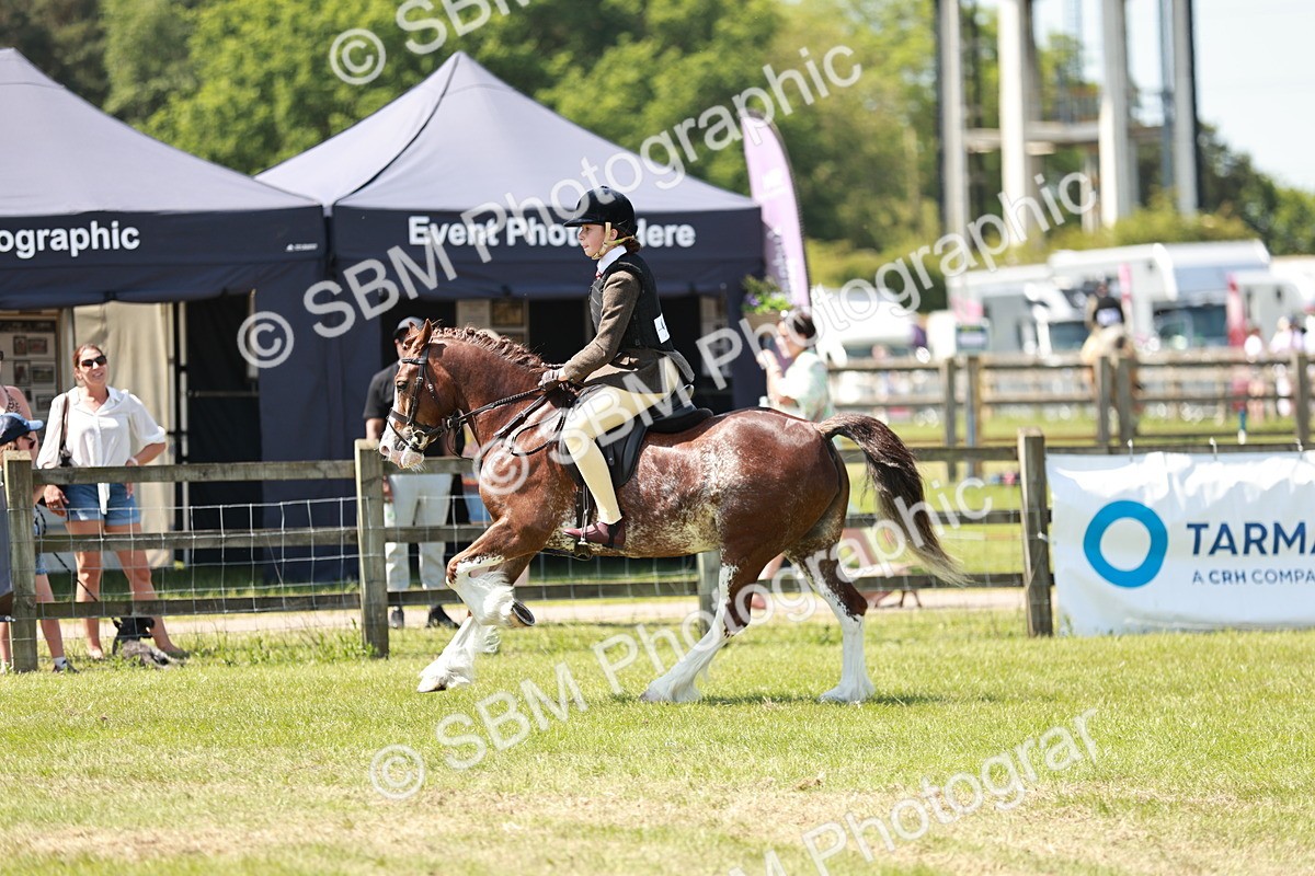SBM_15532 - Class 108-109 - BSPS LIHS Open Gradle & Nursery Stakes