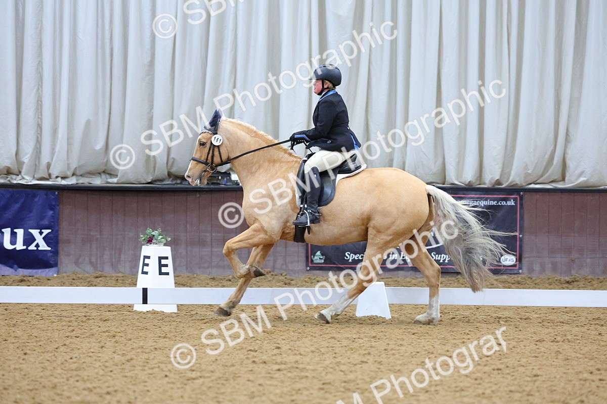 SBM_000891 - Novice