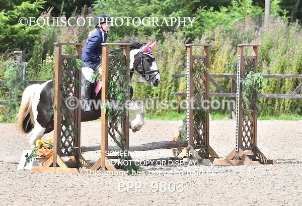 BPP_9803 - CLASS 3 Derby Show Jumping 40CM
