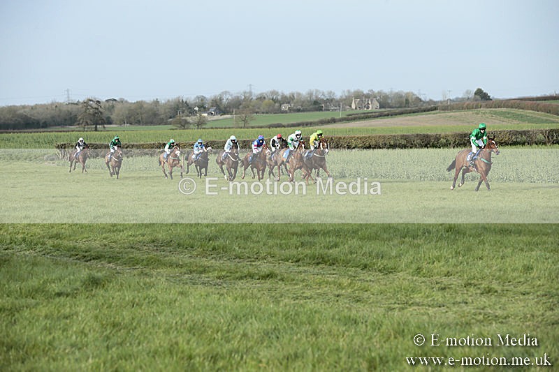 PtP 230319 452 - VWH Hunt Siddington Point-to-Point Racing 23/03/19
