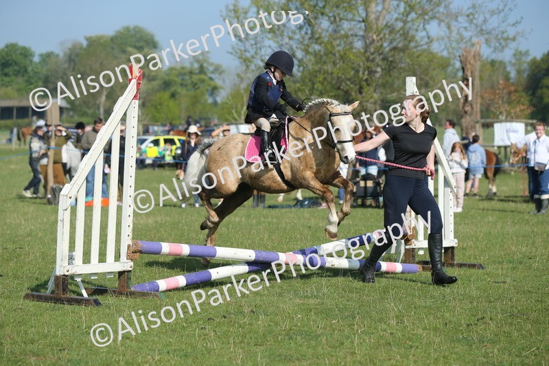 20250427-0862 - Class 1 - Mini Jumping Lead Rein or Assisted