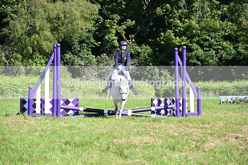 WJ6_3692 - Class 1 Tiny Cross Poles