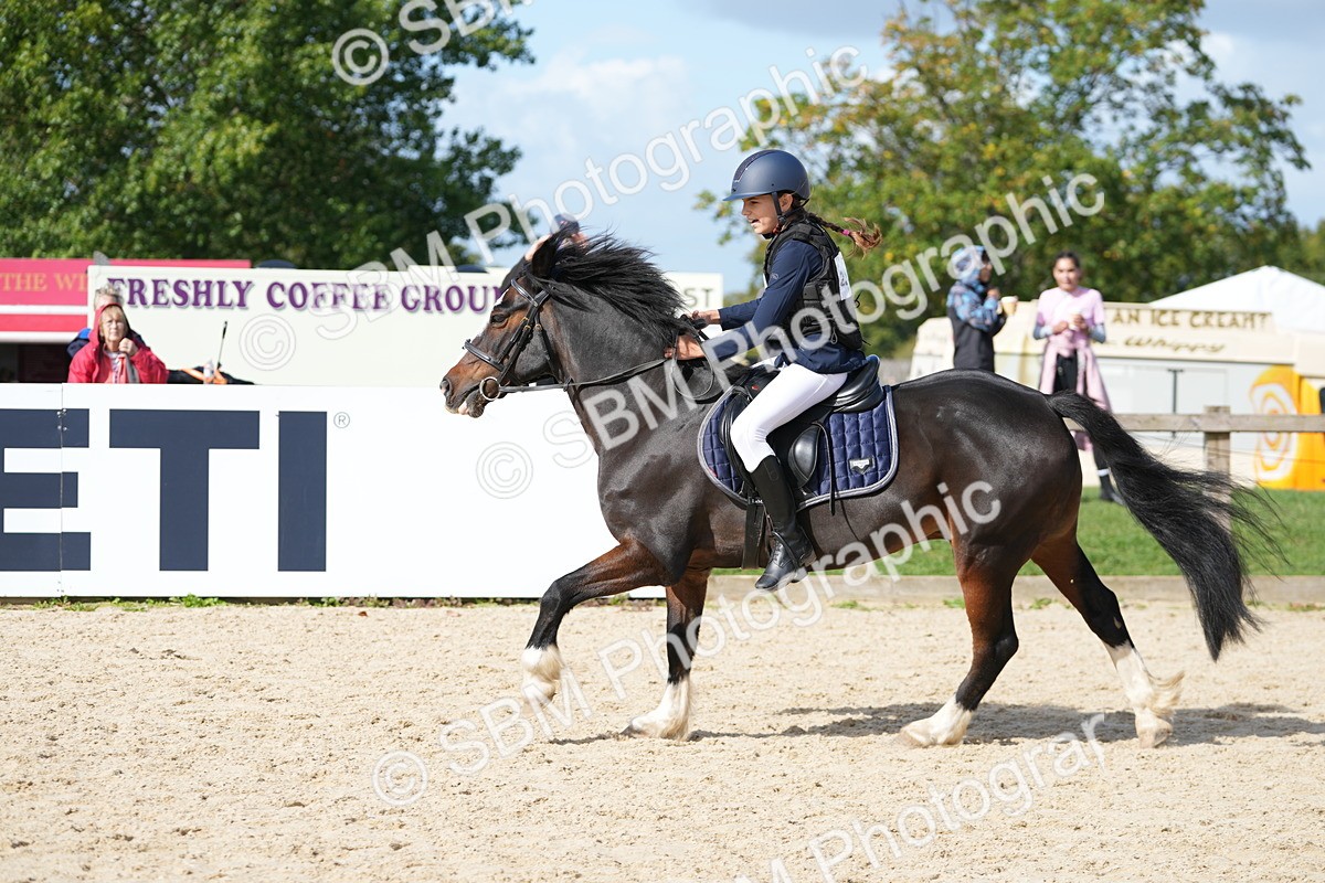 SBM_17806 - J58 - Clear Round 50cm