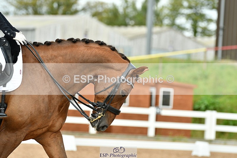 230912A-155957-01690 - Cls 14 Adv Medium 98