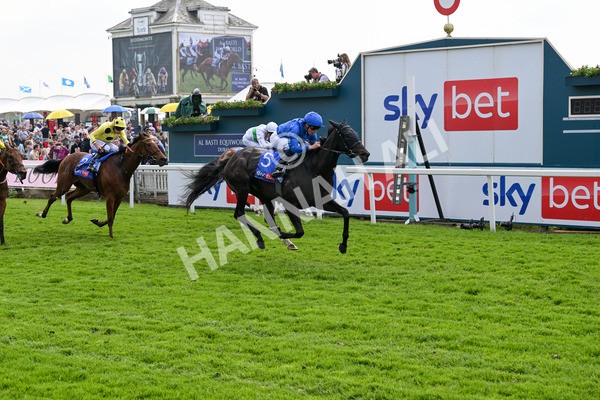 170524-Race 3-Devoted Queen-7887 - Race 3 3.15pm Sky Bet Fillies' Stakes (Registered As The Michael Seely Memorial Fillies' Stakes)
