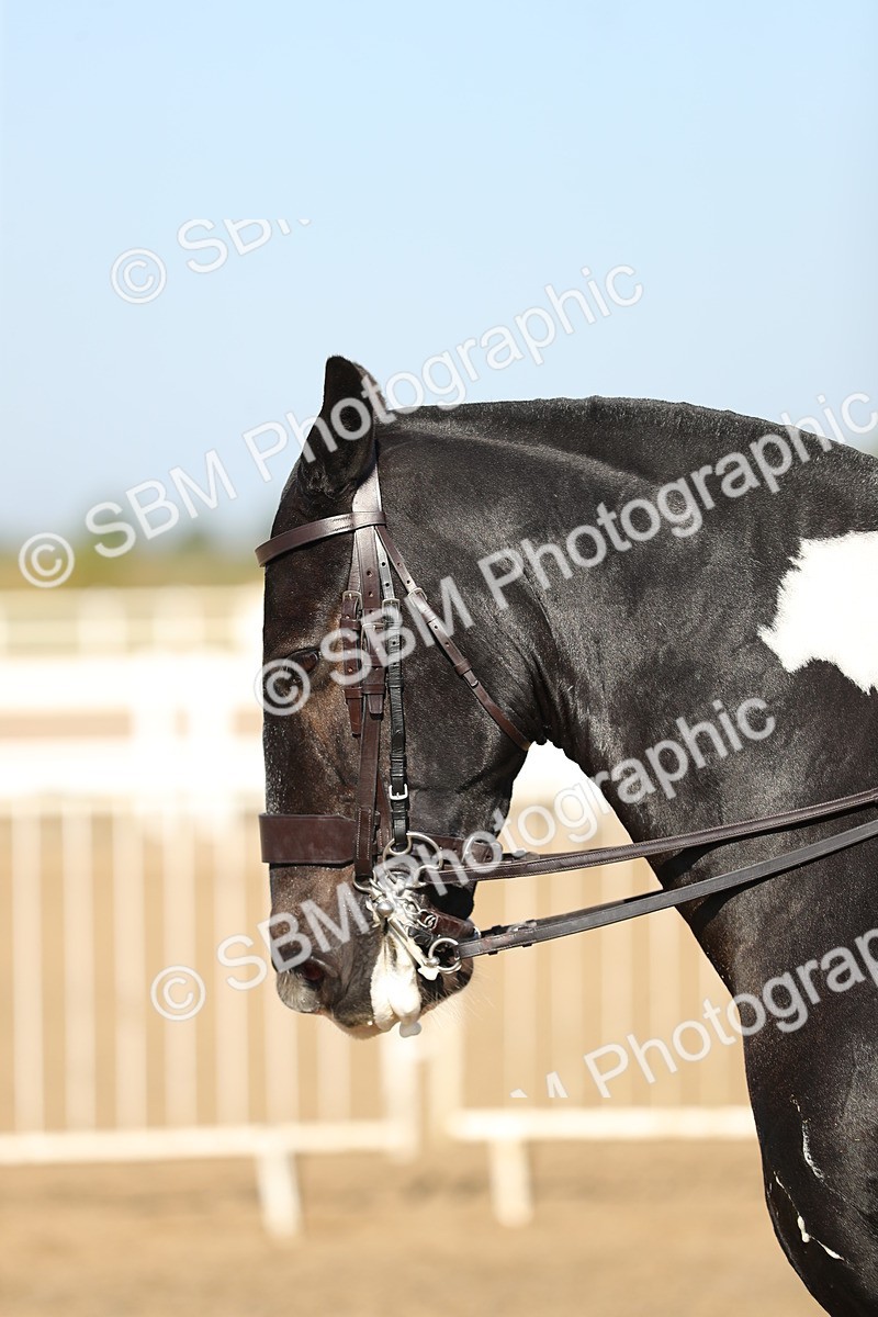 SBM_01184 - Class 42 Ridden Veteran