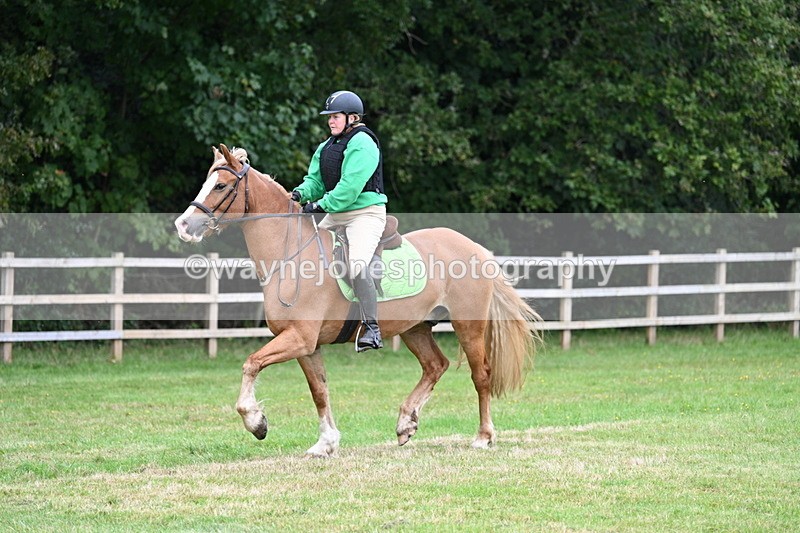 WJ7_7801 - 40cm Time 10:49 to 11:18