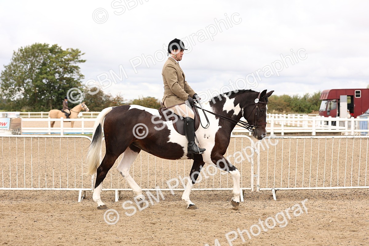 SBM_02807 - Class 53 - Ridden Competition Horse/Pony