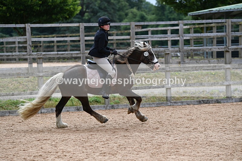 WJ5_6307 - Club 50cm