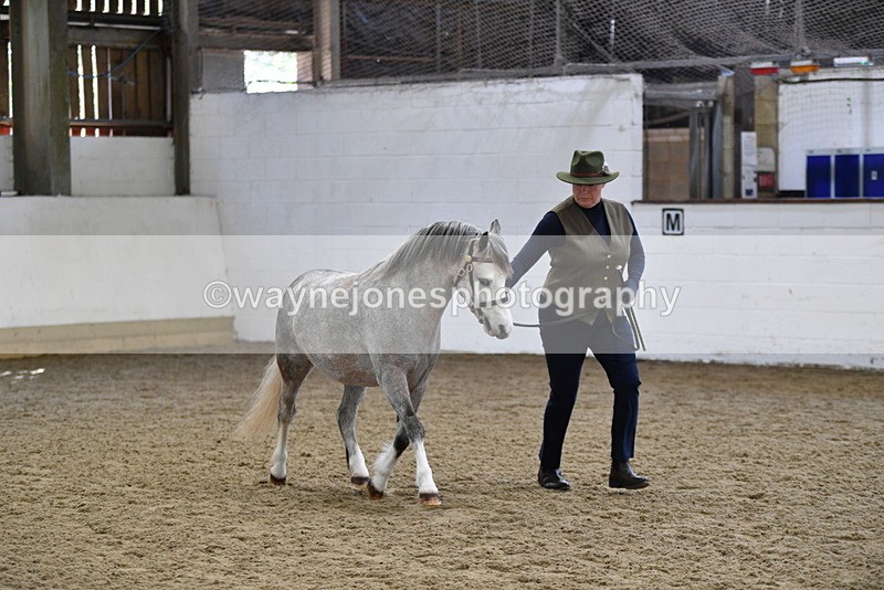 WJ5_5408 - Class 4 In hand M&M - small breeds