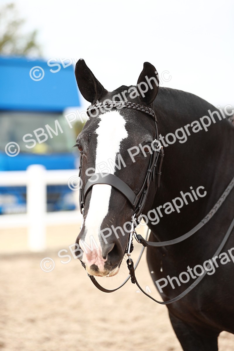 SBM_16736 - Class 214 Ridden Cob