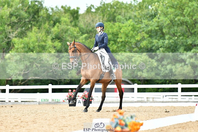 230702A-161100-11122 - Cls 37 + 42 FEI PSG + GP