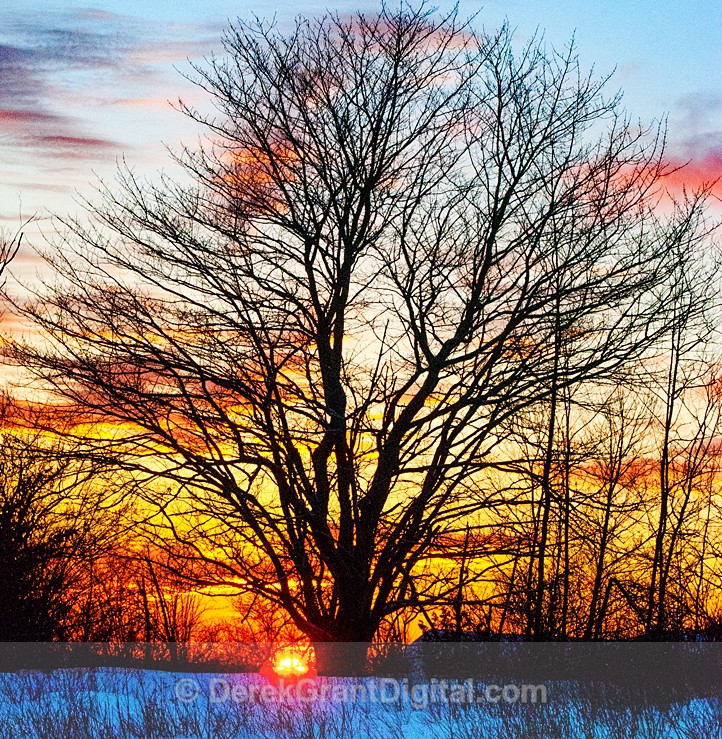 Sunset Silhouette - Sunset/Moonrise