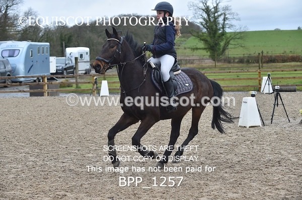 BPP_1257 - CLASS 4 Club/ Unaffiliated 80cms Open