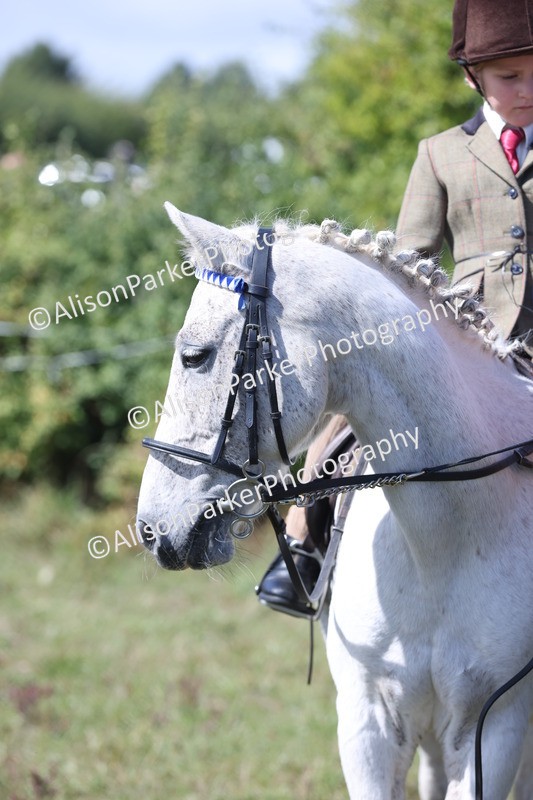 20250831-3181 - Class 24 - Absolute Beginners Pony