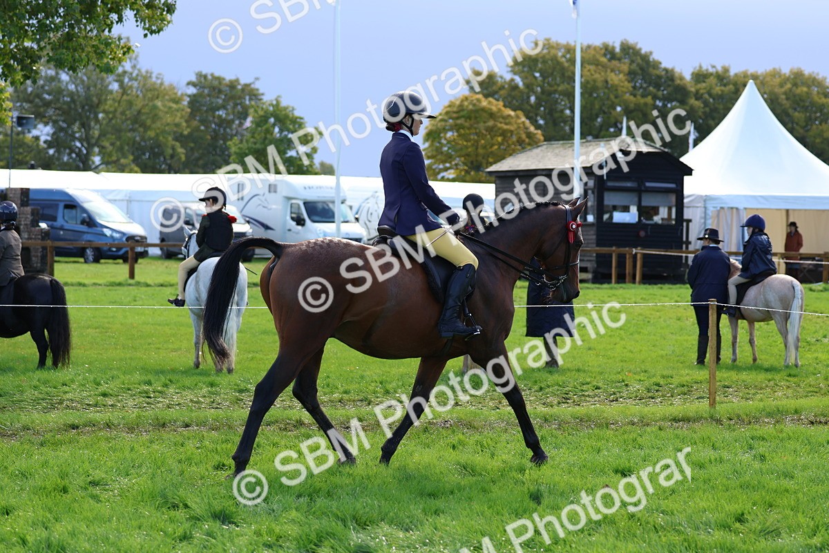 SBM_36897 - S11 - Best Ridden Horse & Pony