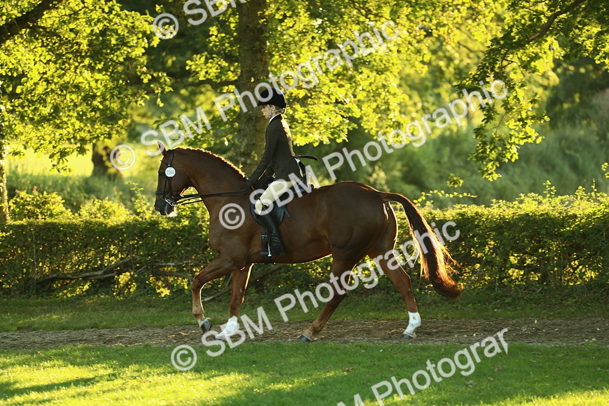 SBM_56455 - S14 - Riding Club Horse