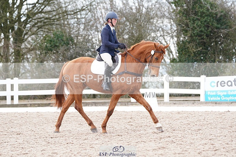 250322-131610-00476 - DR Elementary 2 Test