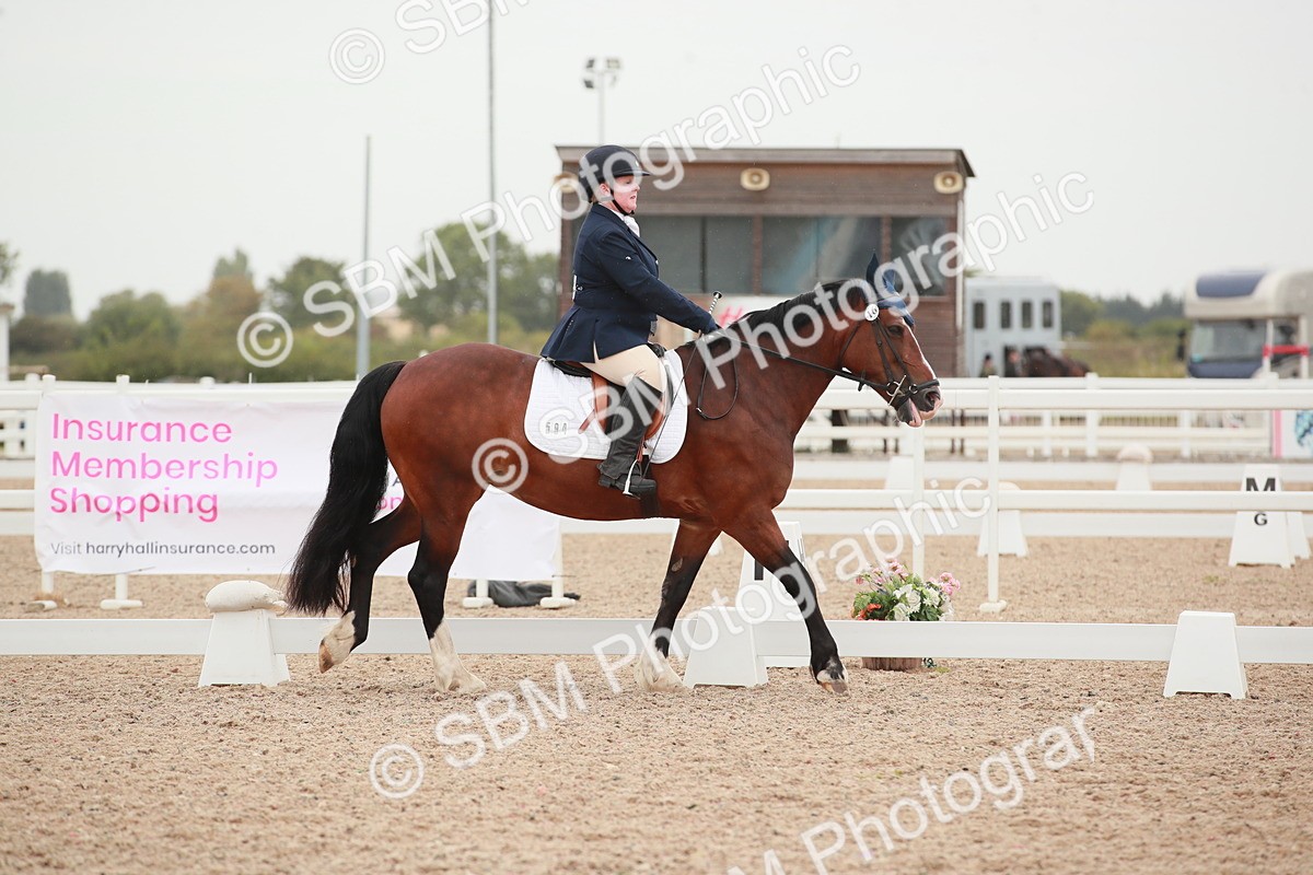 SBM_00689 - Class 30 - Intro 1