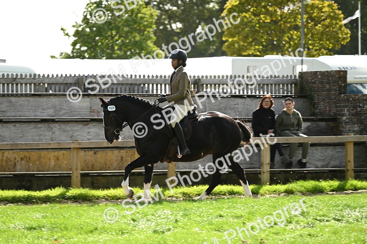 SBM_01933 - S2 - TSR Ridden Horse Showing