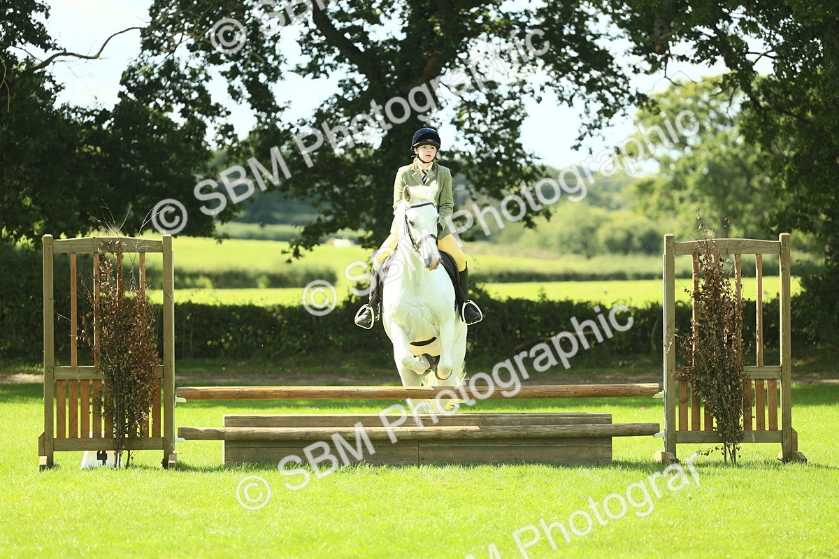 SBM_44542 - S30 - M&M Working hunter Pony