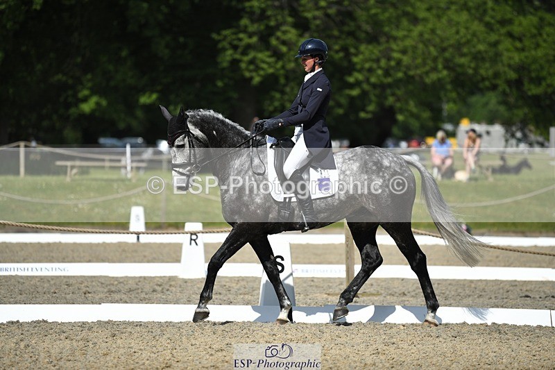 230525-101754-01680 - 311-BALLYCOSKERRY_REGAL_DIAMOND-Hollie_Swain-WEDTrotUp+DR