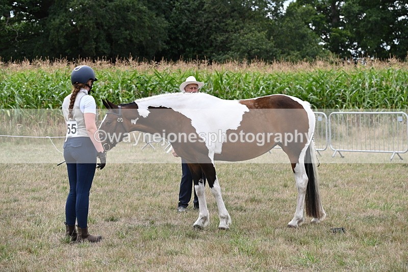 WJ6_5592 - Class 18 In-hand Coloured
