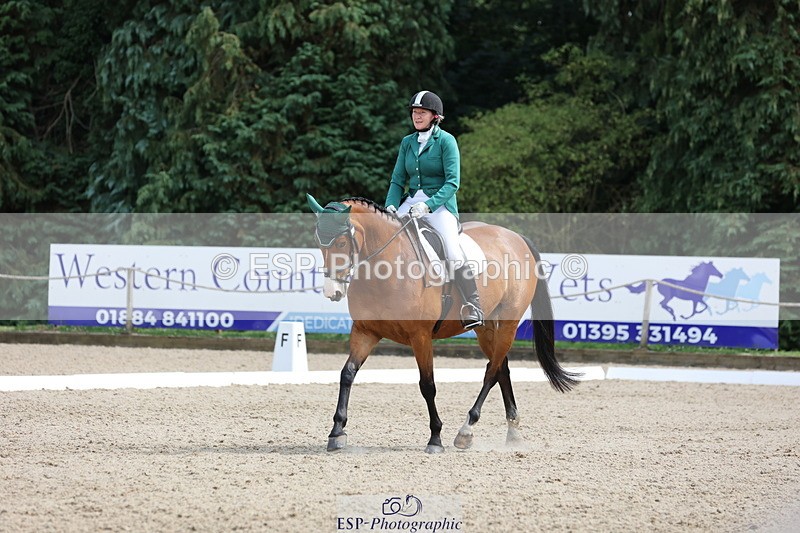 250718A-153159-02600 - 152-Tracy.OKennedy-Wylye.Harlequin