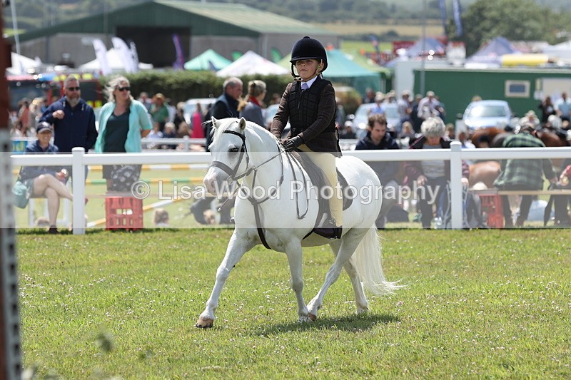 JPP_1848 - Class 18: Tiny Tots Working Hunter Pony
