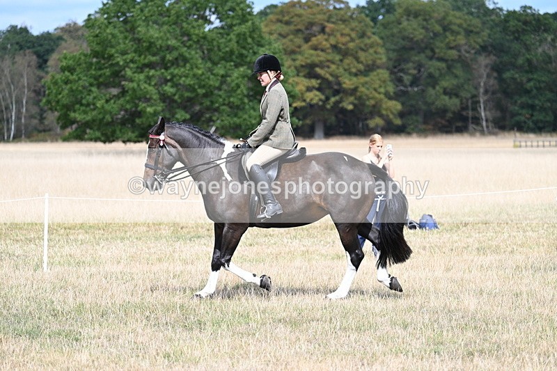 WJ7_5885 - Class 13 Ridden Veterans