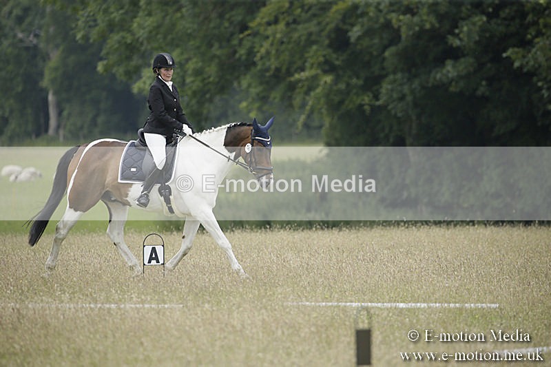 B230619-0635 - Bourne Valley Riding Club Summer Show 23/06/19