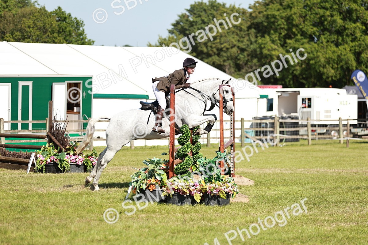 SBM_18859 - Class 114 - RIHS & SEIB Open Working Show Horse