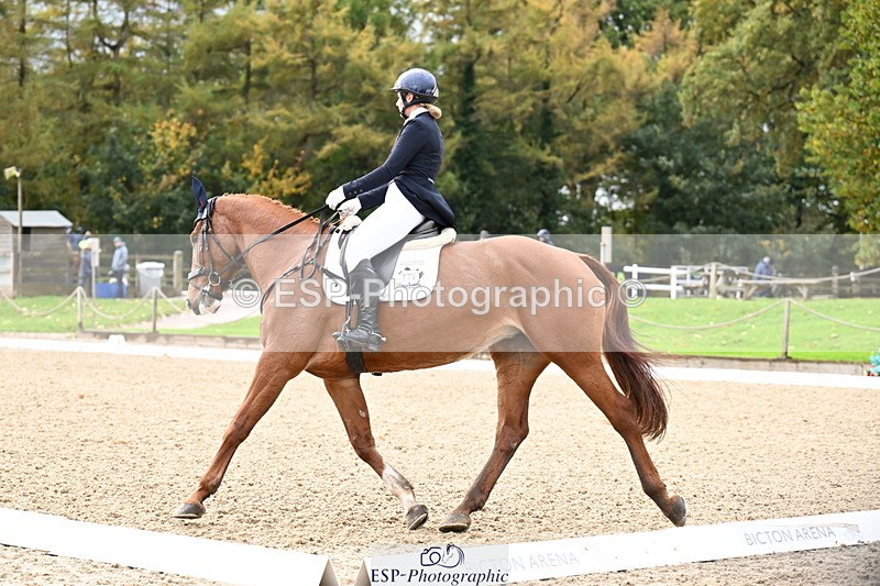 251023A-124046-02296 - B-154-Holly.Law