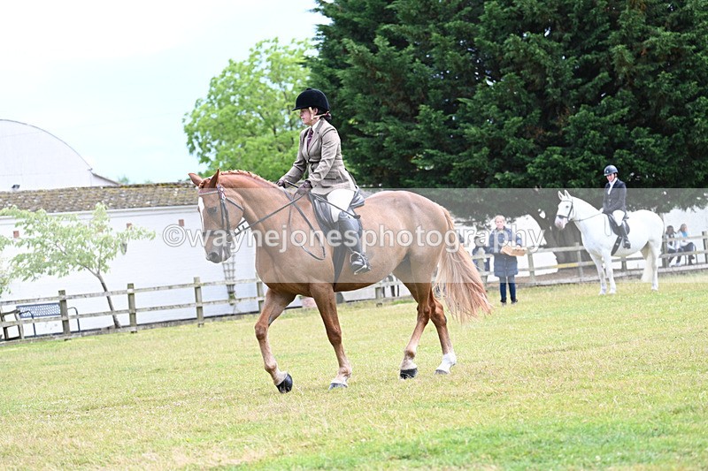 WJ7_9295 - Class 8 Ridden Veterans