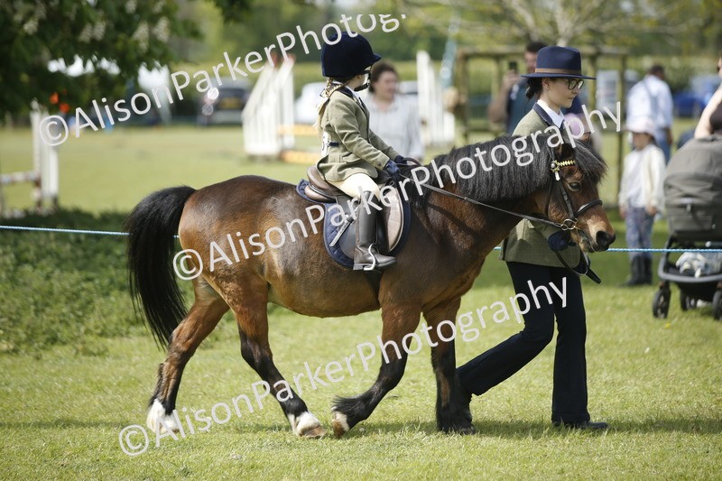 20260426-1858 - Class 7 - Pony Judge Would Most Like To Take Home