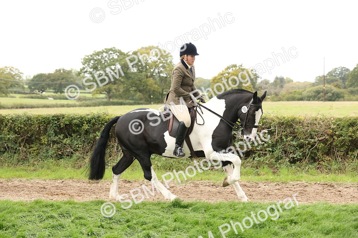 SBM_67243 - S67 - Piebald & Skewbald Horse Ridden