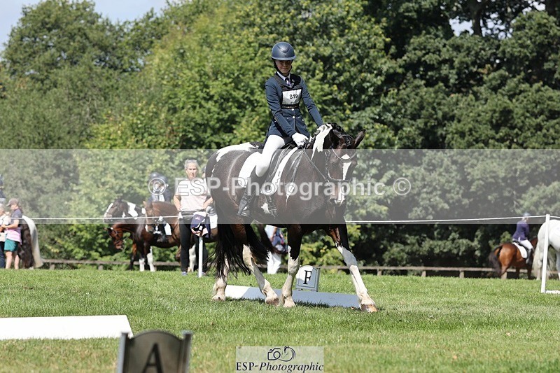 250823A-120928-29414 - Arena D