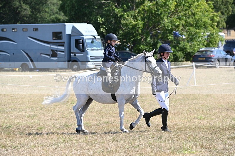 WJ6_7759 - Class 36 Lead Rein