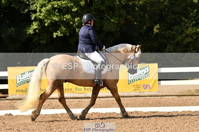 250817-161924-11551 - 216-Chloe.WaltonHaytors.Lord.of.the.Dance