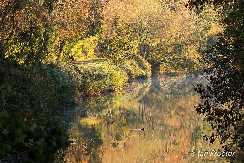 Autumn Watercolour - Lagan Towpath - Autumn