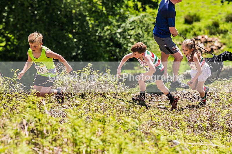 Coniston Junior-8 - Coniston Gullies Junior Fell Races Sunday 24th May 2026