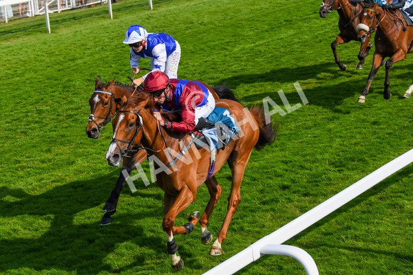 160623-Race 7-Diamond Bay-0783 - Race 7 5.21pm Constant Security Handicap