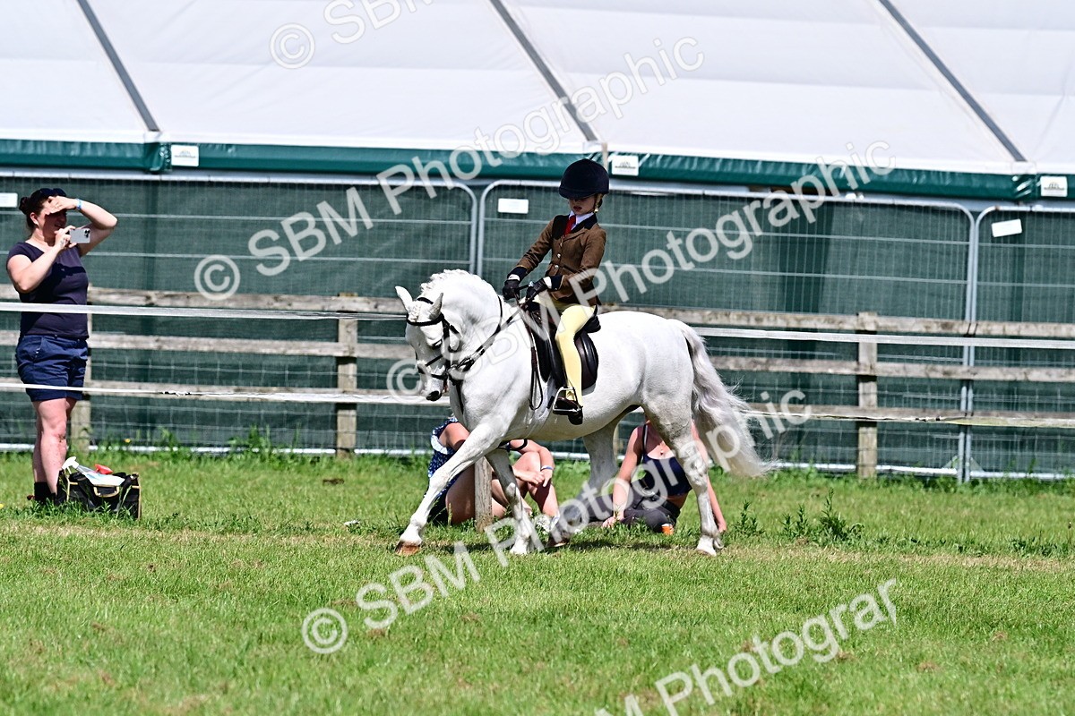 SBM_13979 - Class 95-97 - BSPS LHS Performance Ponies