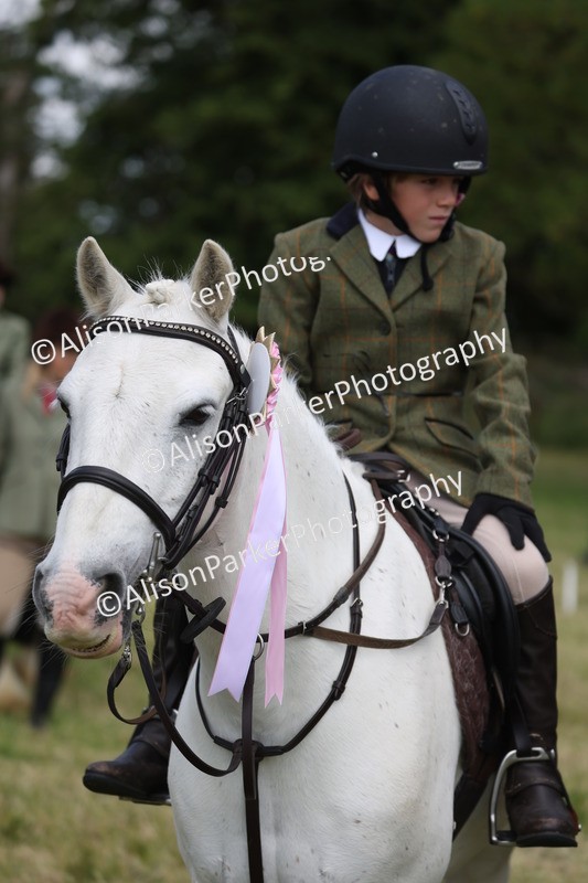 20260614-0835 - Class 20 - Beginners Working Hunter Pony