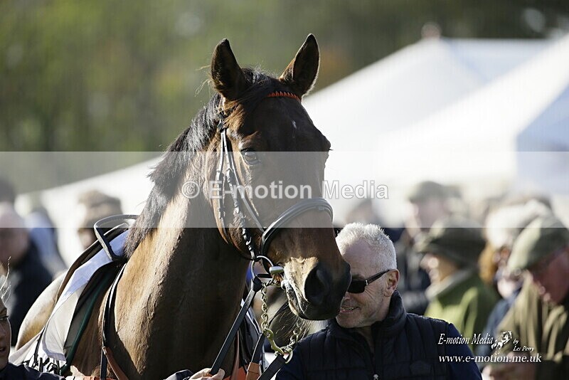PtP 250921 0251 - Point-to-Point Badbury Rings Dorset 07/11/2021