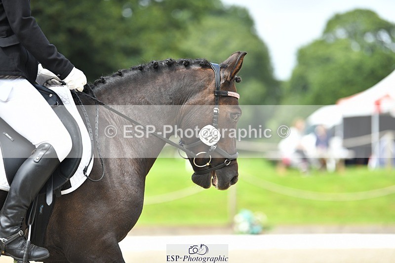 230812-121537-04074 - Cls 6 Novice Silver 12.10 to End