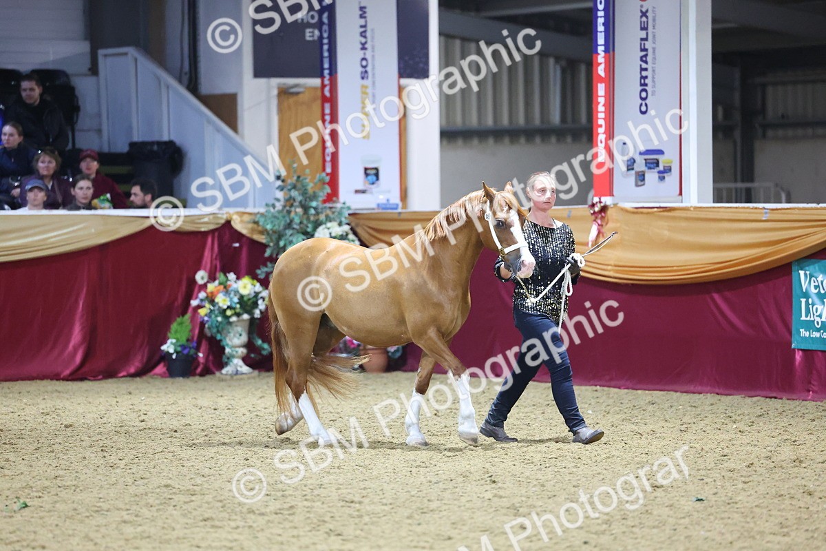 0B8A4819 - Class T Champion of Champions